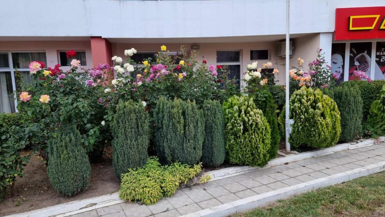 бутикови студиа брита Apartament